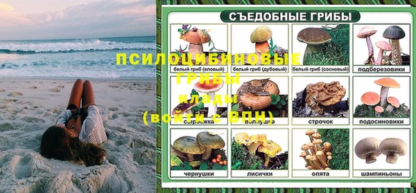 бошки Дмитровск