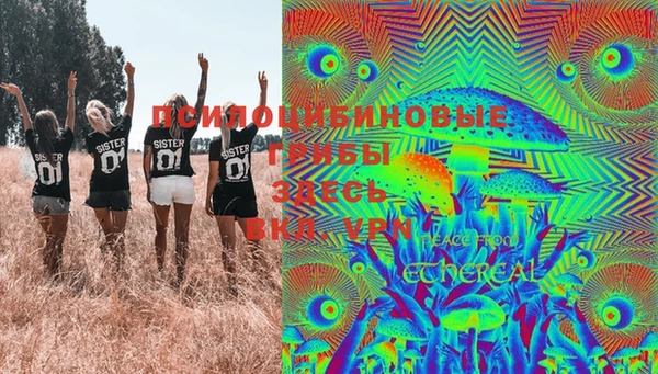 прущий лед Елизово
