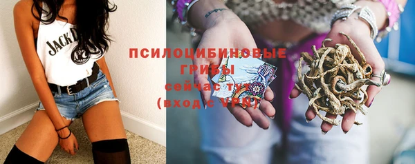 бошки Дмитровск