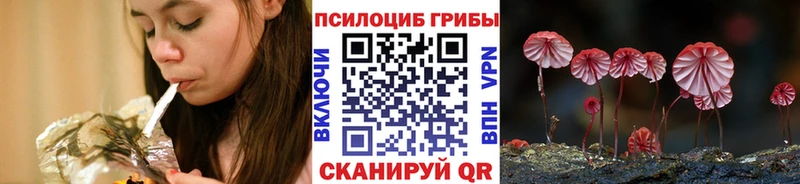 Купить  Рудня  Галлюциногенные грибы Magic Shrooms 
